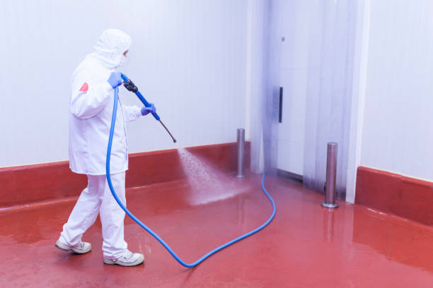 Best Driveway Cleaning and Restoration in Cross Plains, WI